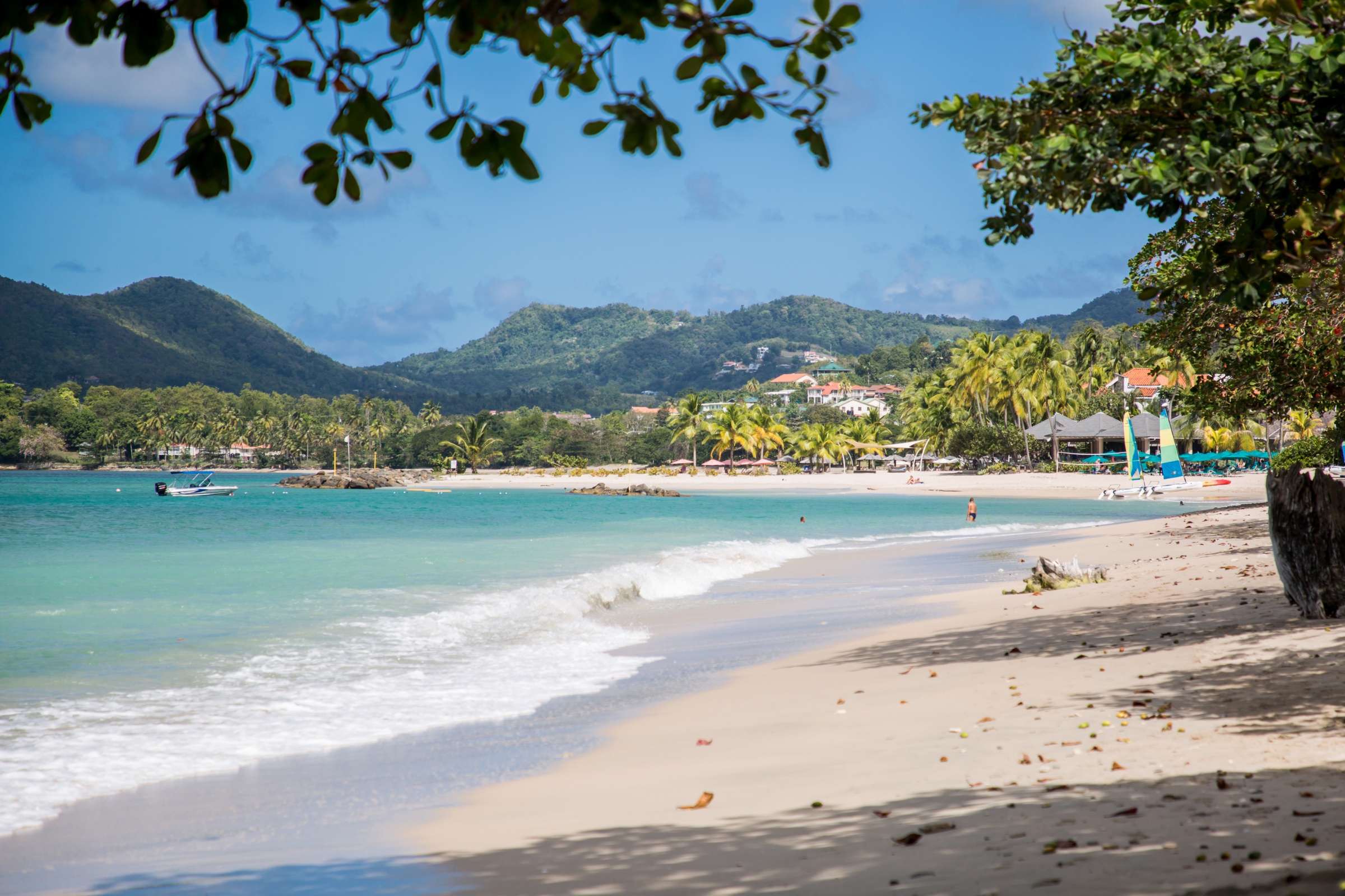 st lucia.webp